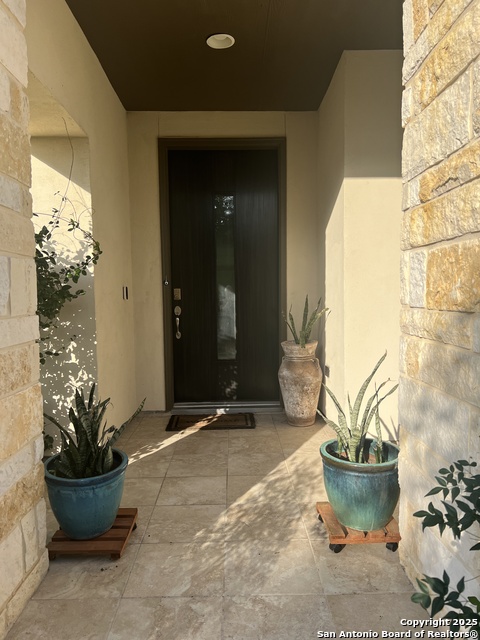 508 Chinkapin, New Braunfels, Texas image 3