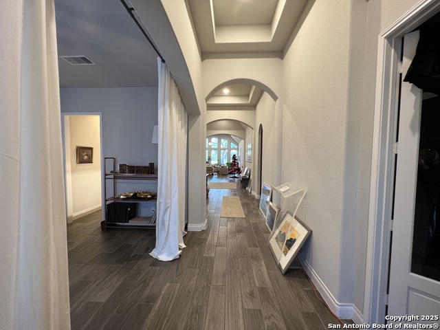 508 Chinkapin, New Braunfels, Texas image 4