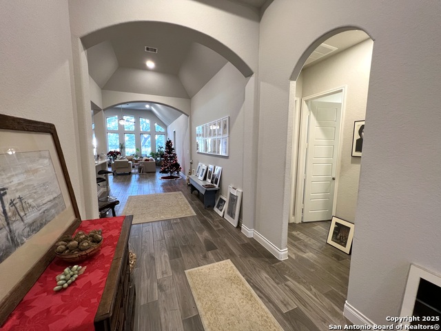 508 Chinkapin, New Braunfels, Texas image 6