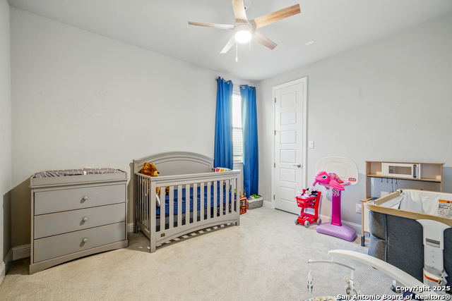 355 Jereth, Castroville, Texas image 25