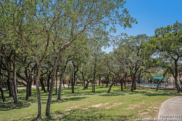 4643 Briley Elm, San Antonio, Texas image 38