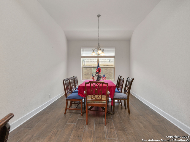 517 Concerto, Spring Branch, Texas image 15