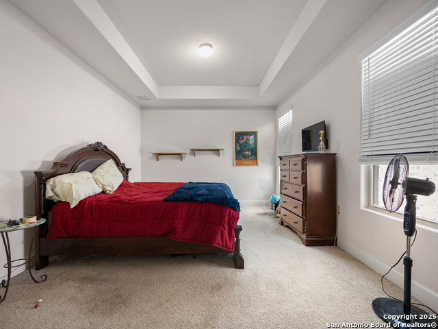 517 Concerto, Spring Branch, Texas image 18