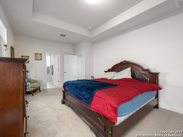 517 Concerto, Spring Branch, Texas image 19