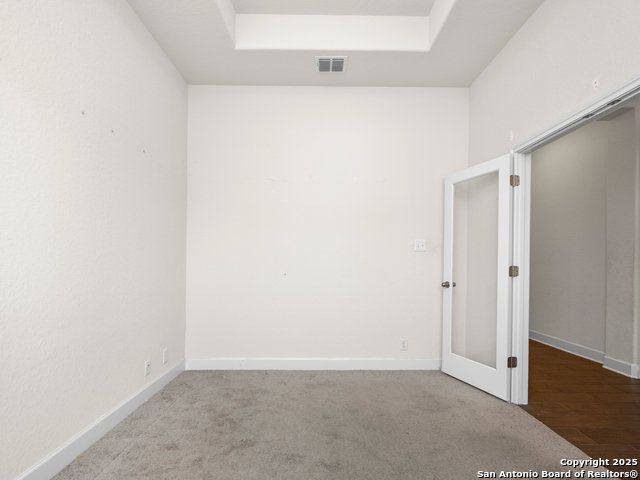 517 Concerto, Spring Branch, Texas image 4