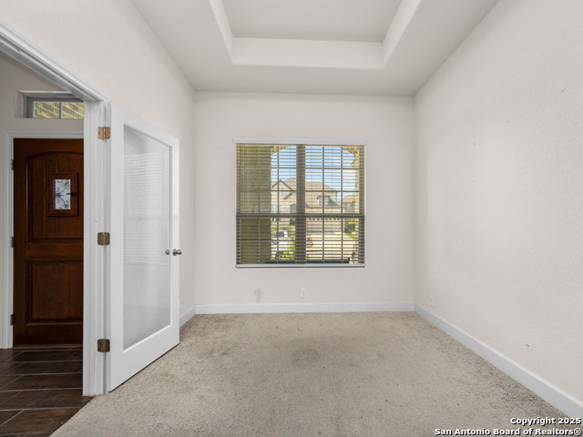 517 Concerto, Spring Branch, Texas image 8