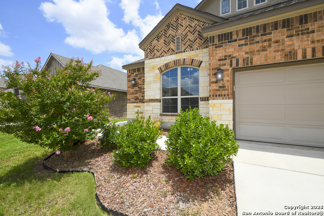 22630 Carriage Blf, San Antonio, Texas image 2