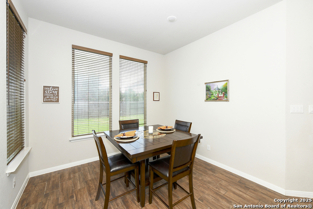 22630 Carriage Blf, San Antonio, Texas image 23
