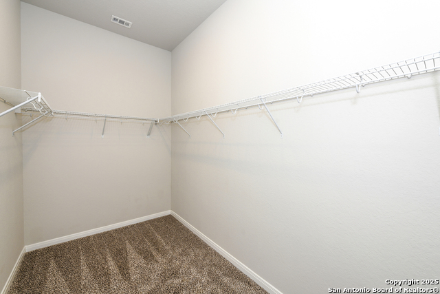 22630 Carriage Blf, San Antonio, Texas image 29