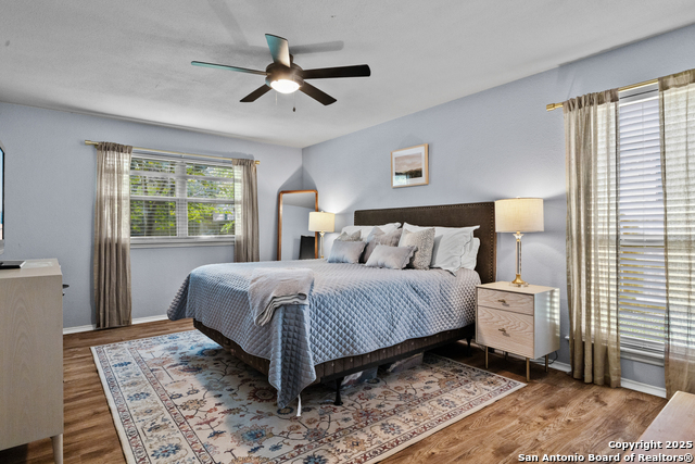 19903 Encino Grove, San Antonio, Texas image 10