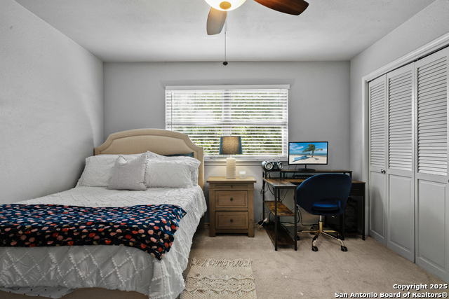 19903 Encino Grove, San Antonio, Texas image 16