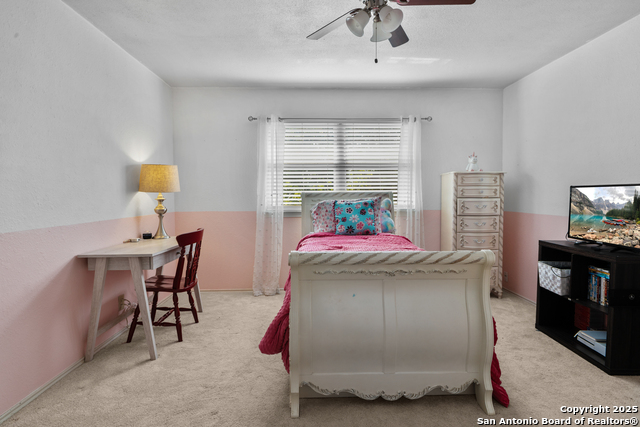 19903 Encino Grove, San Antonio, Texas image 18