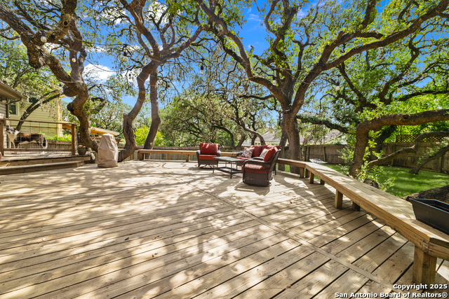 19903 Encino Grove, San Antonio, Texas image 20