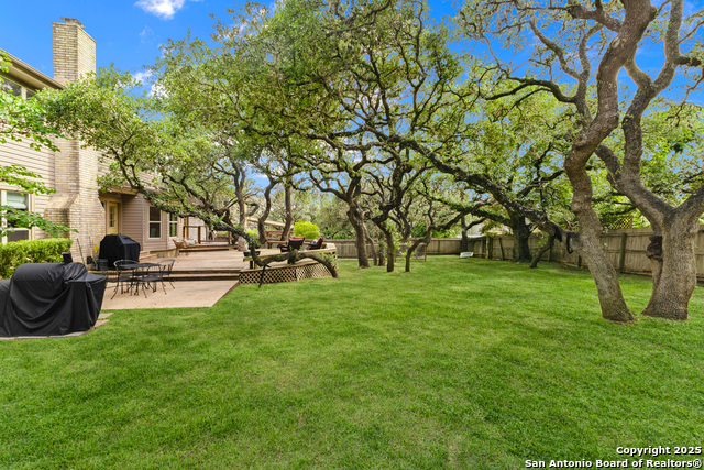 19903 Encino Grove, San Antonio, Texas image 21