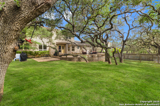 19903 Encino Grove, San Antonio, Texas image 22