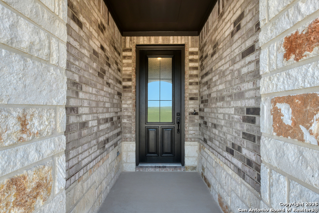 168 Heidi Hill, Castroville, Texas image 4