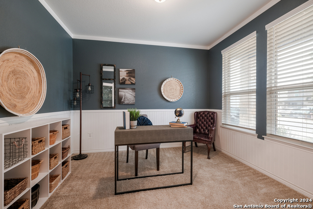 627 Anthem Ln, New Braunfels, Texas image 4