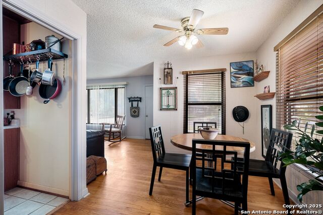 503 Storeywood, San Antonio, Texas image 5