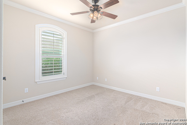 608 Westberg, Seguin, Texas image 3