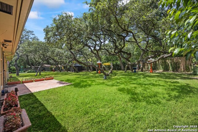 2719 Whisper Dove, San Antonio, Texas image 40