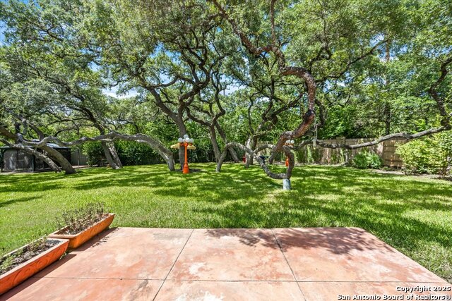 2719 Whisper Dove, San Antonio, Texas image 41