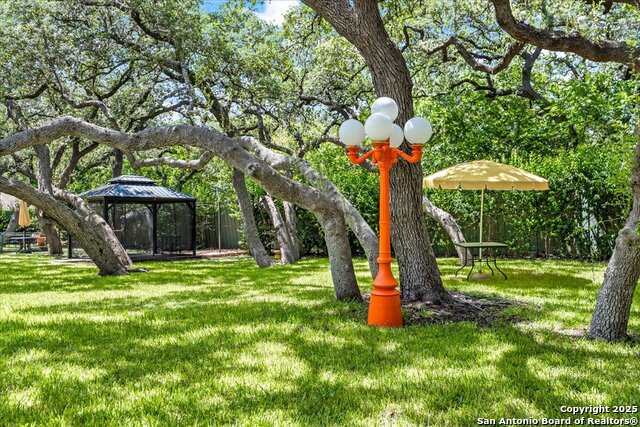 2719 Whisper Dove, San Antonio, Texas image 45