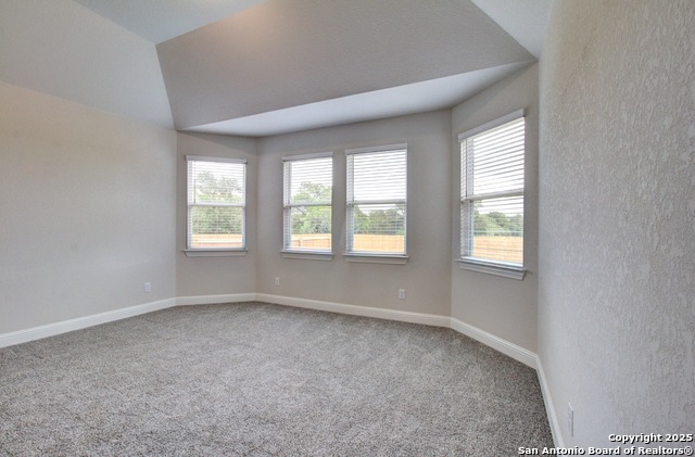 1834 La Grande Jatte, San Antonio, Texas image 9