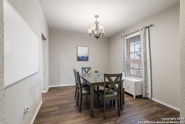 701 Trinity Star, San Antonio, Texas image 13