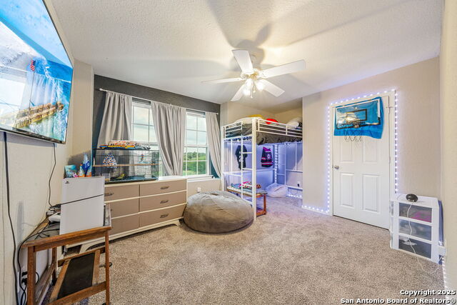 701 Trinity Star, San Antonio, Texas image 23