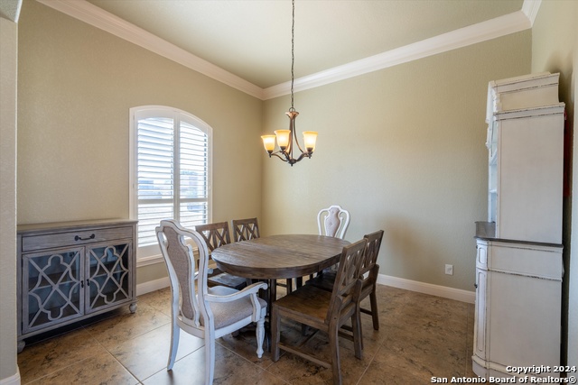 117 Abrego Run, Floresville, Texas image 17