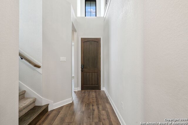 11323 Cottage Grove, San Antonio, Texas image 3
