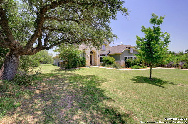 448 Kudu, Bulverde, Texas image 41
