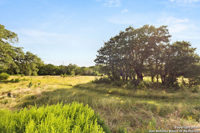 1362 Sahms Branch, New Braunfels, Texas image 31