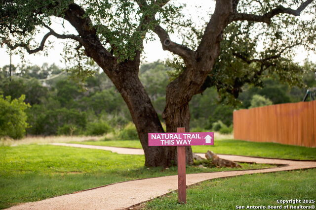 1362 Sahms Branch, New Braunfels, Texas image 41