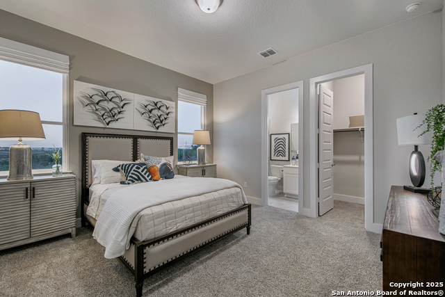 530 Poe Parkway, Castroville, Texas image 18