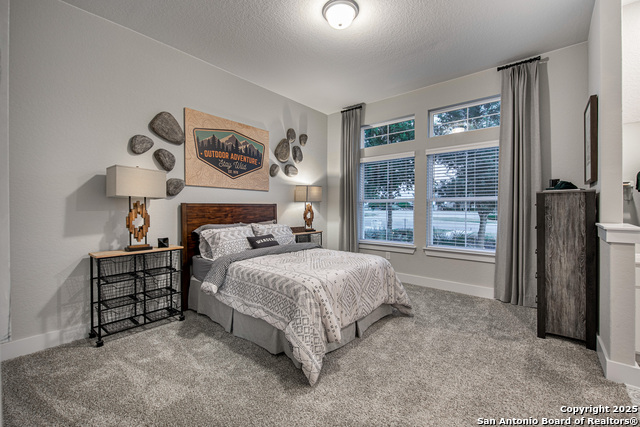 530 Poe Parkway, Castroville, Texas image 5