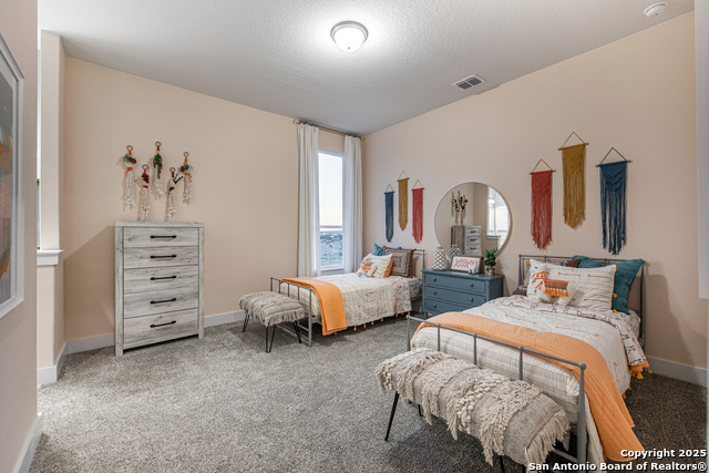 530 Poe Parkway, Castroville, Texas image 9