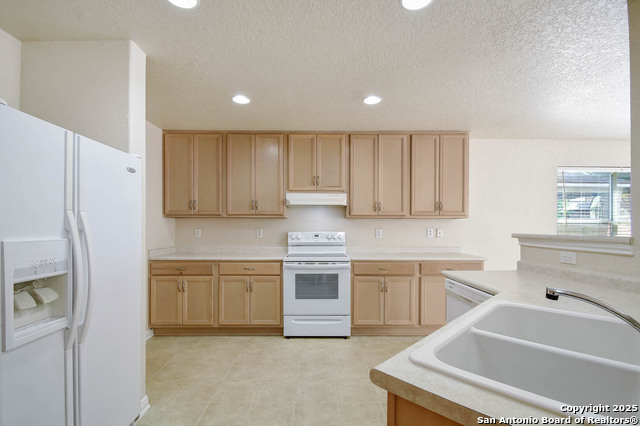 184 Springtree, Cibolo, Texas image 11
