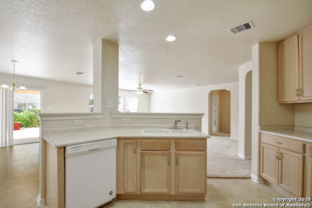 184 Springtree, Cibolo, Texas image 12