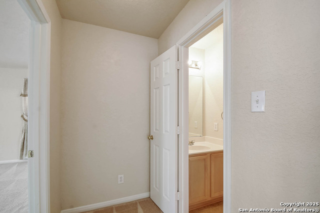 184 Springtree, Cibolo, Texas image 15