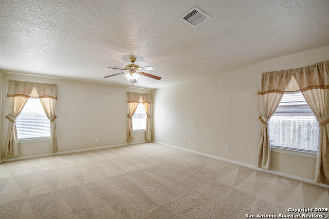 184 Springtree, Cibolo, Texas image 16