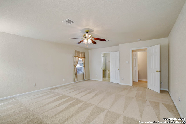 184 Springtree, Cibolo, Texas image 17