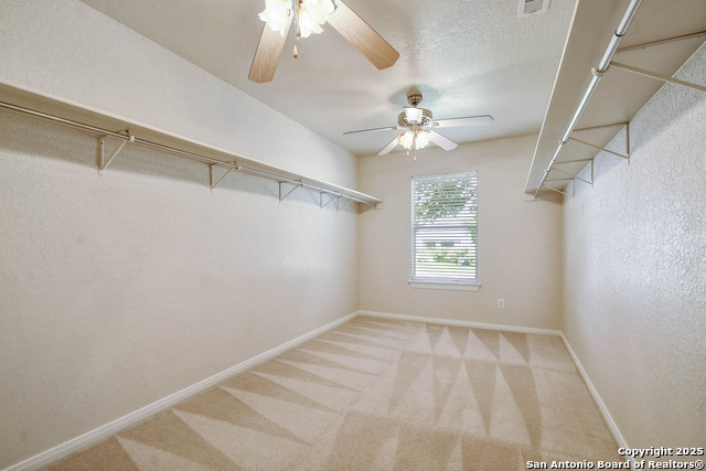 184 Springtree, Cibolo, Texas image 20