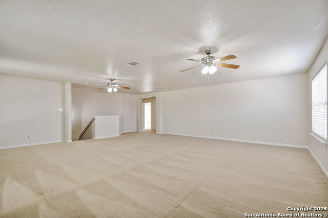 184 Springtree, Cibolo, Texas image 21