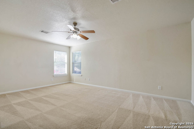 184 Springtree, Cibolo, Texas image 23