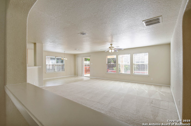 184 Springtree, Cibolo, Texas image 6