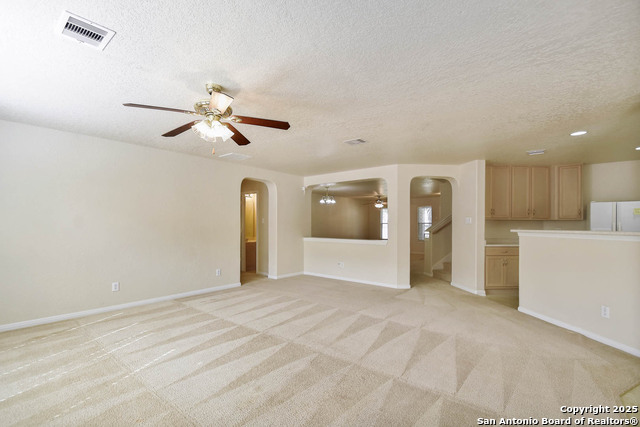 184 Springtree, Cibolo, Texas image 9