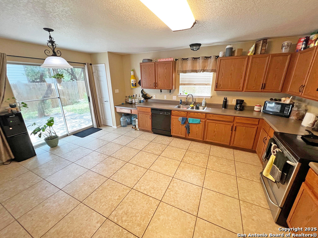 307 Amberdale Oak, San Antonio, Texas image 10