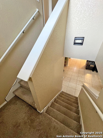 307 Amberdale Oak, San Antonio, Texas image 13