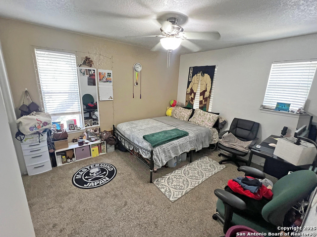 307 Amberdale Oak, San Antonio, Texas image 16
